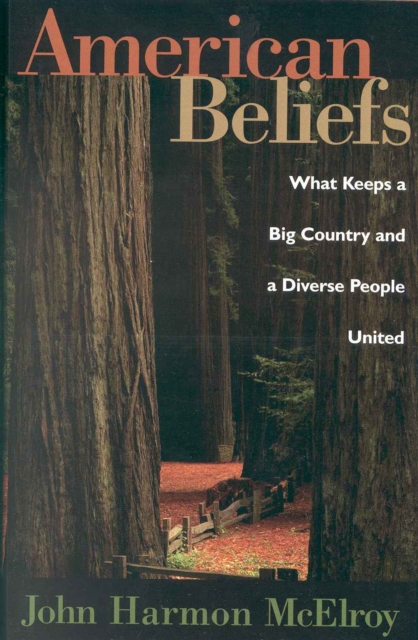 American Beliefs : What Keeps a Big Country and a Diverse People United, Hardback Book