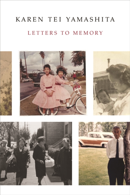 Letters to Memory, Paperback / softback Book