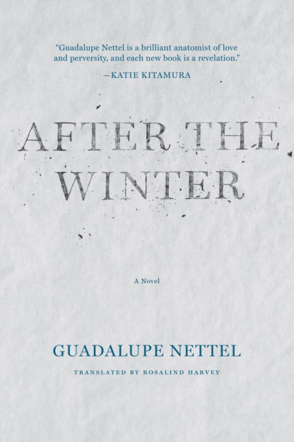 After the Winter, EPUB eBook