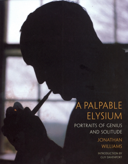 A Palpable Elysium, Paperback / softback Book