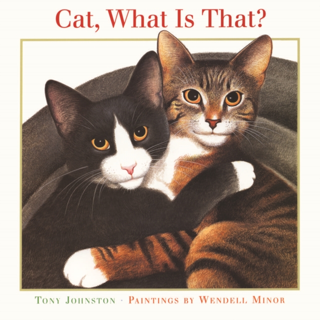 Cat, What Is That?, Paperback / softback Book