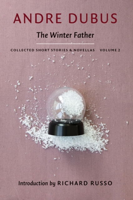 The Winter Father, Paperback / softback Book