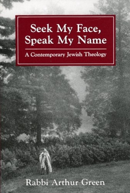 Seek My Face, Speak My Name : A Contemporary Jewish Theology, Paperback / softback Book