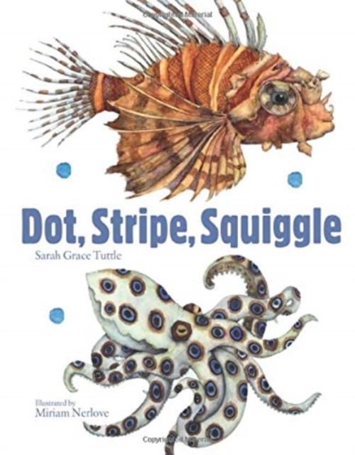 Dot, Stripe, Squiggle, Board book Book