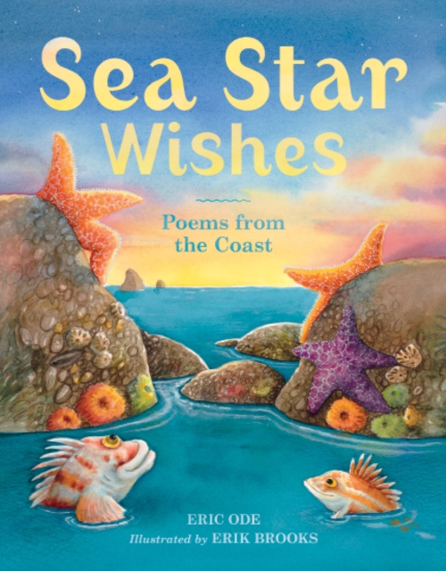 Sea Star Wishes : Poems from the Coast, Hardback Book