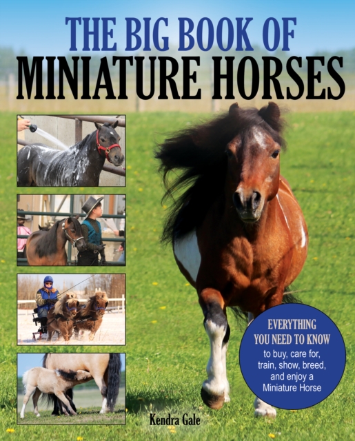 The Big Book of Miniature Horses : Everything You Need to Know to Buy, Care for, Train, Show, Breed, and Enjoy a Miniature Horse of Your Own, EPUB eBook