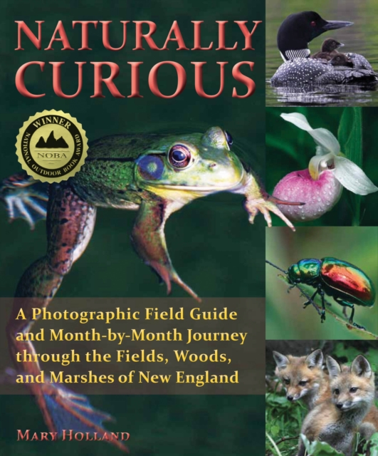 Naturally Curious : A Photographic Field Guide and Month-By-Month Journey Through the Fields, Woods, and Marshes of New England, EPUB eBook