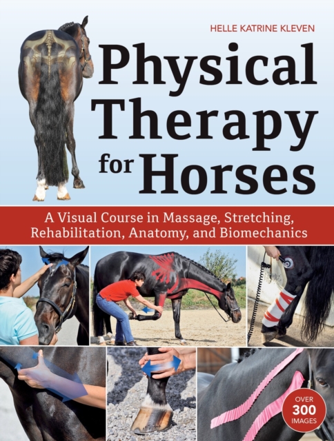 Physical Therapy for Horses : A Visual Course in Massage, Stretching, Rehabilitation, Anatomy, and Biomechanics, Hardback Book
