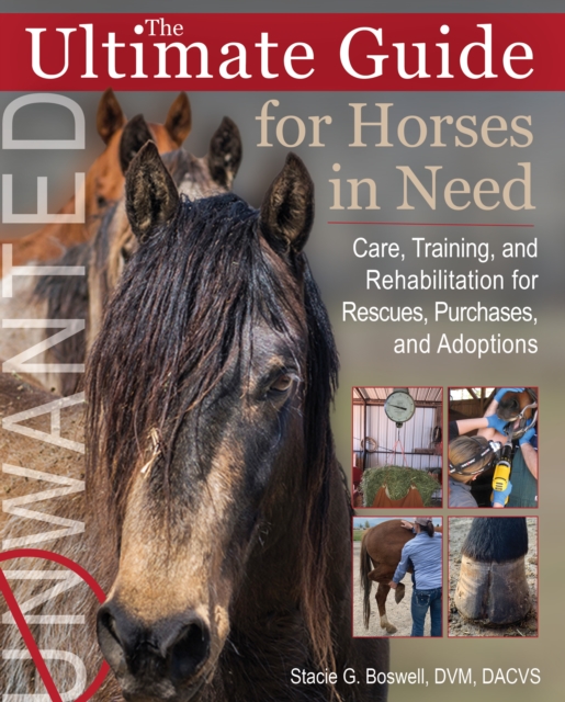 The Ultimate Guide for Horses in Need : Care, Training, and Rehabilitation for Rescues, Purchases, and Adoptions, Paperback / softback Book
