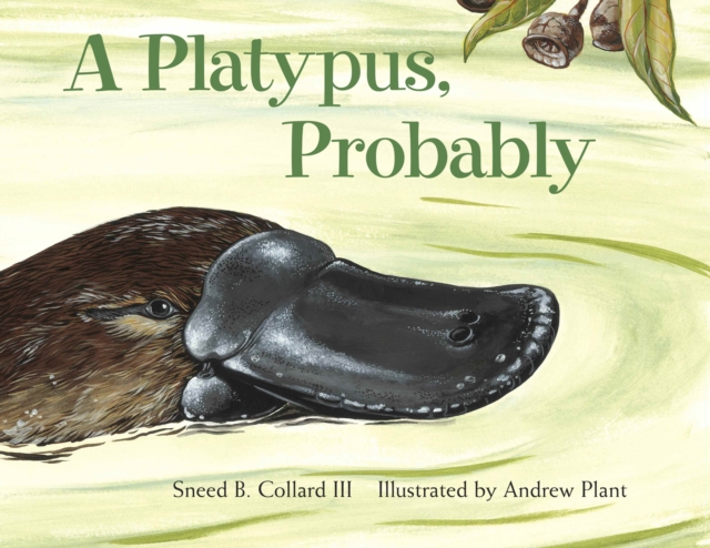 A Platypus, Probably, Paperback / softback Book