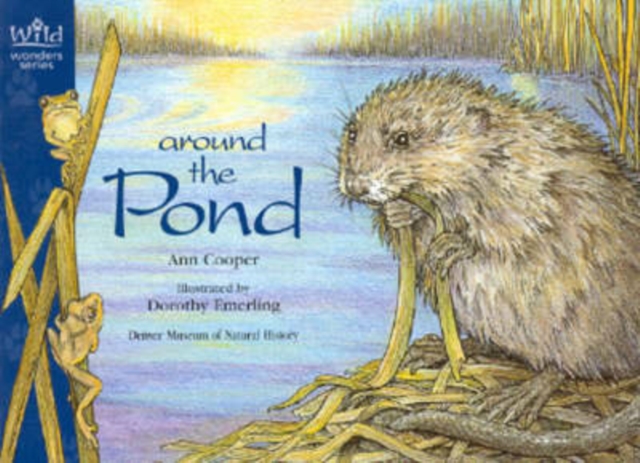 Around the Pond, Paperback / softback Book