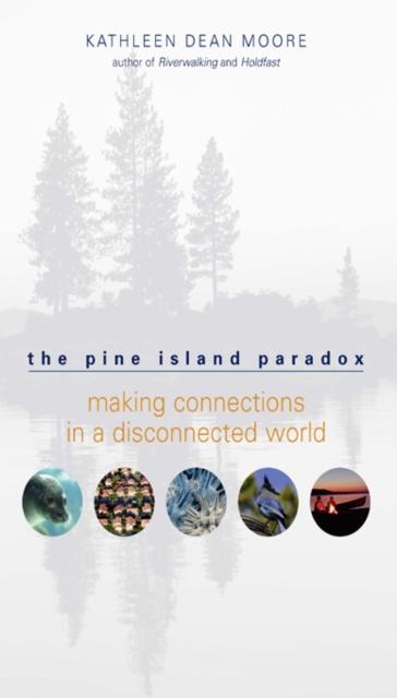 The Pine Island Paradox : Making Connections in a Disconnected World, Paperback / softback Book
