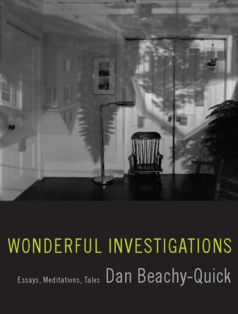 Wonderful Investigations : Essays, Meditations, Tales, Paperback / softback Book