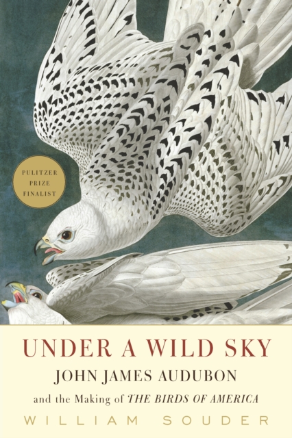 Under a Wild Sky : John James Audubon and the Making of the Birds of America, Paperback / softback Book