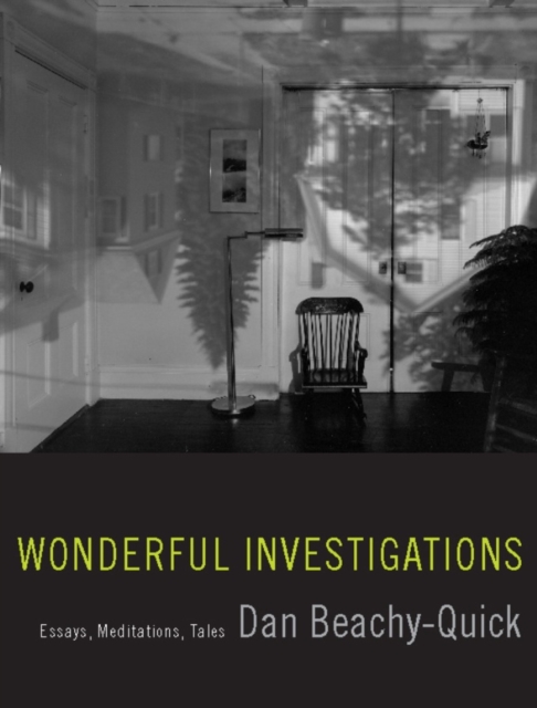Wonderful Investigations : Essays, Meditations, Tales, EPUB eBook