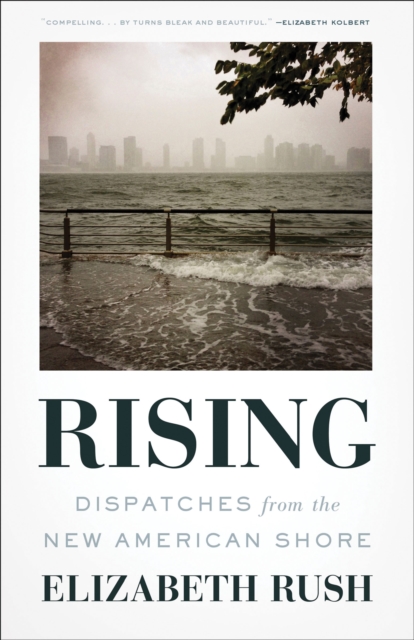 Rising : Dispatches from the New American Shore, EPUB eBook