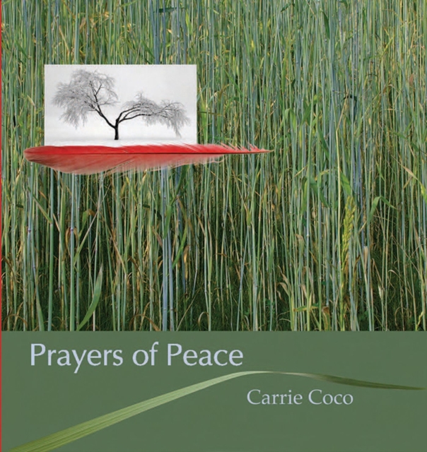 Prayers of Peace, Hardback Book