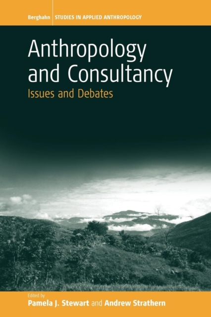 Anthropology and Consultancy : Issues and Debates, Paperback / softback Book