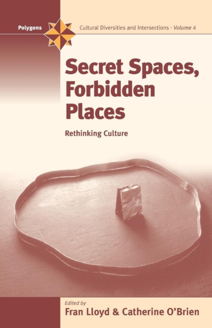 Secret Spaces, Forbidden Places : Rethinking Culture, Paperback / softback Book