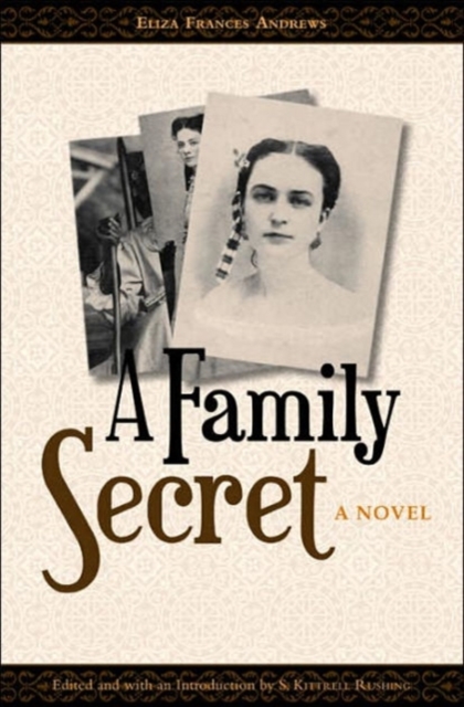A Family Secret : A Novel, Hardback Book