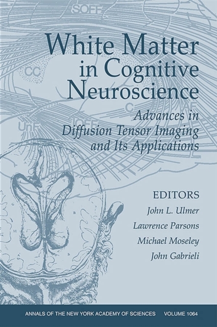 White Matter in Cognitive Neuroscience : Advances in Diffusion Tensor Imaging and Its Applications, Volume 1064, Paperback / softback Book