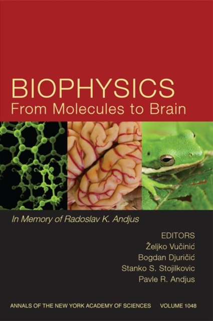Biophysics From Molecules to Brain : In Memory of Radolslav K. Andjus, Volume 1048, Paperback / softback Book