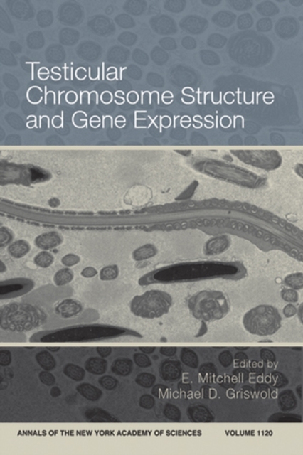 Testicular Chromosome Structure and Gene Expression, Volume 1120, Paperback / softback Book
