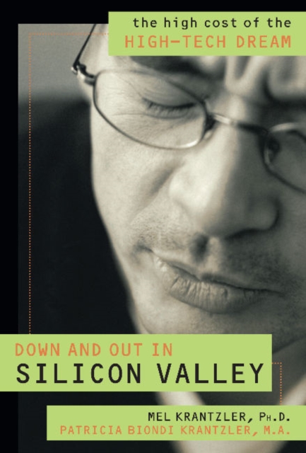Down and Out in Silicon Valley, Hardback Book