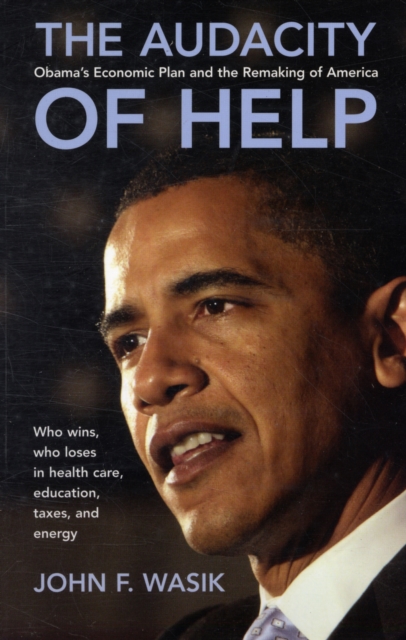 The Audacity of Help : Obama's Stimulus Plan and the Remaking of America, Paperback / softback Book