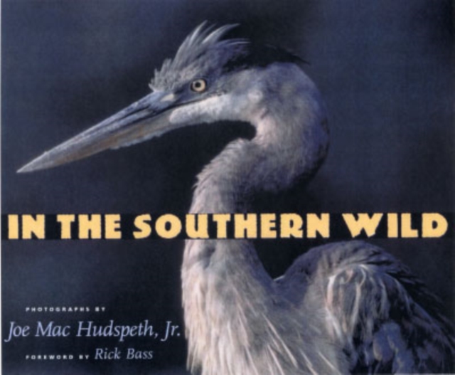 In the Southern Wild, Hardback Book