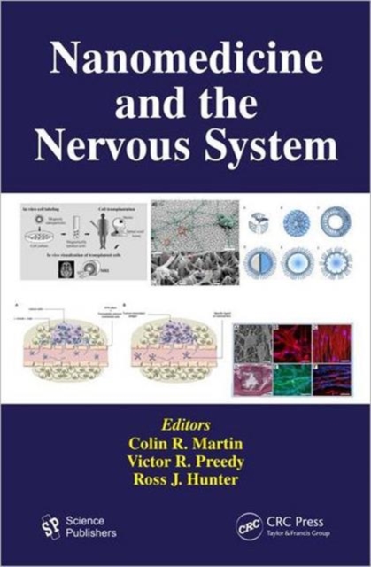 Nanomedicine and the Nervous System, Hardback Book