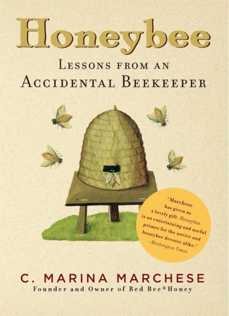 Honeybee : Lessons from an Accidental Beekeeper, Paperback / softback Book