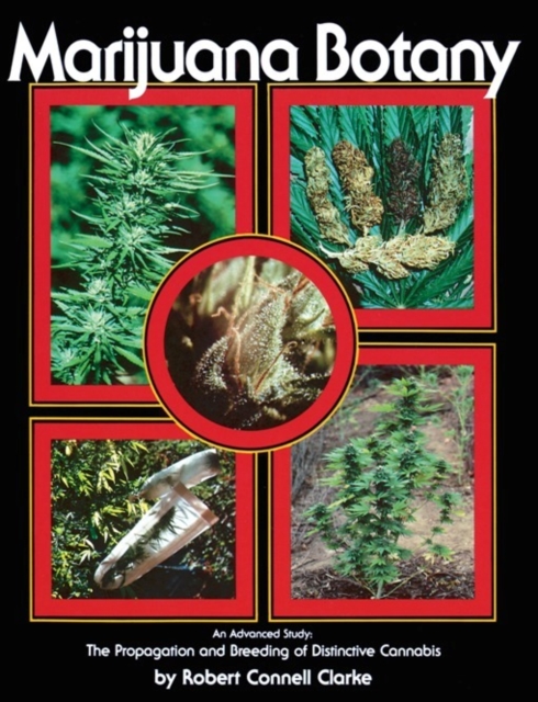 Marijuana Botany : An Advanced Study: The Propagation and Breeding of Distinctive Cannabis, EPUB eBook