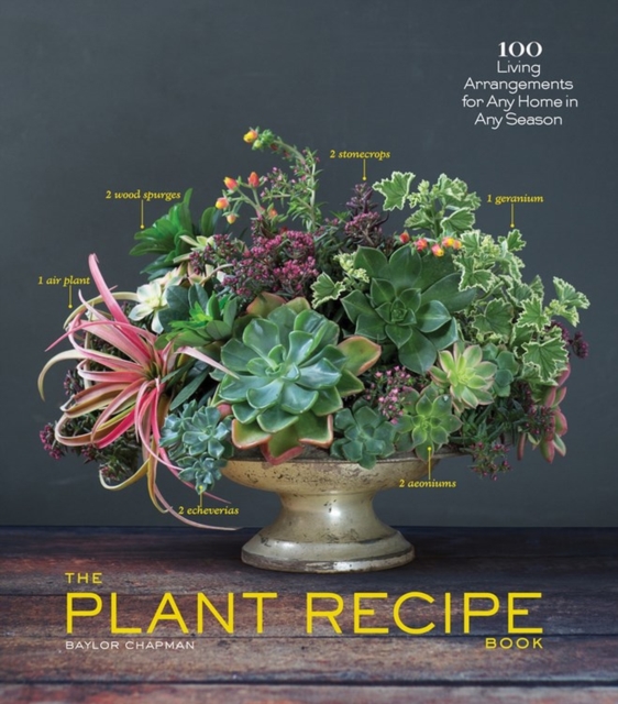 The Plant Recipe Book : 100 Living Arrangements for Any Home in Any Season, Hardback Book