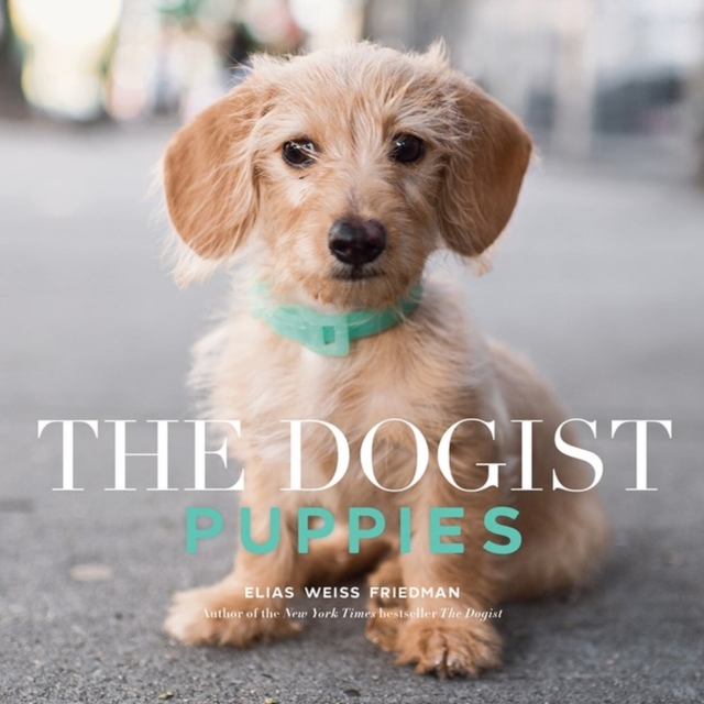 The Dogist Puppies, Paperback / softback Book