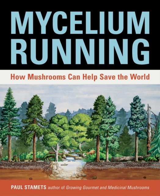 Mycelium Running : How Mushrooms Can Help Save the World, Paperback / softback Book