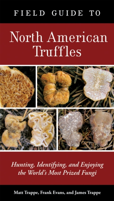 Field Guide to North American Truffles : Hunting, Identifying, and Enjoying the World's Most Prized Fungi, Paperback / softback Book