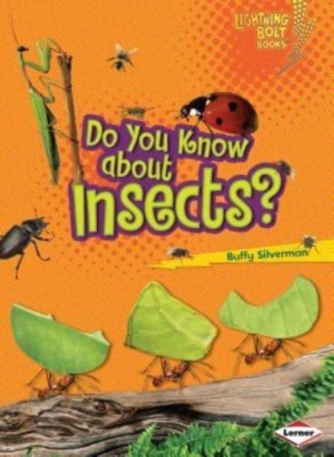 Do You Know about Insects?, Paperback / softback Book