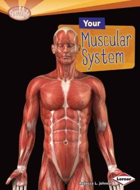Your Muscular System, Paperback / softback Book
