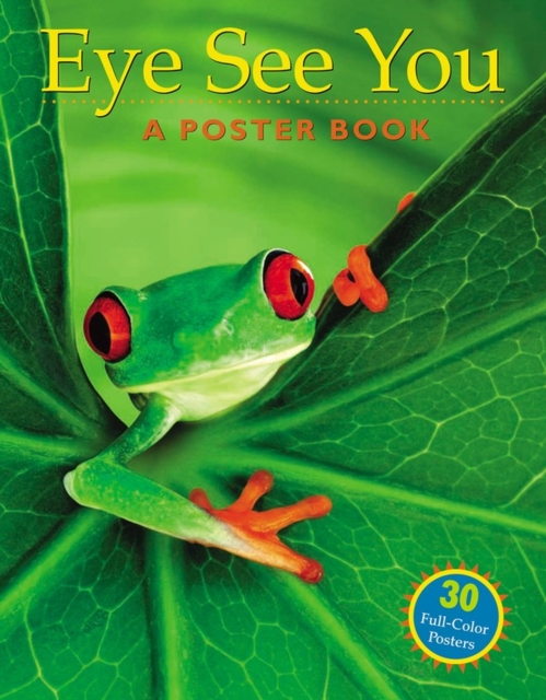 Eye See You : A Poster Book, Paperback / softback Book