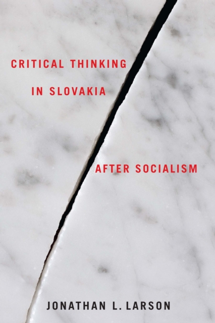 Critical Thinking in Slovakia after Socialism, PDF eBook
