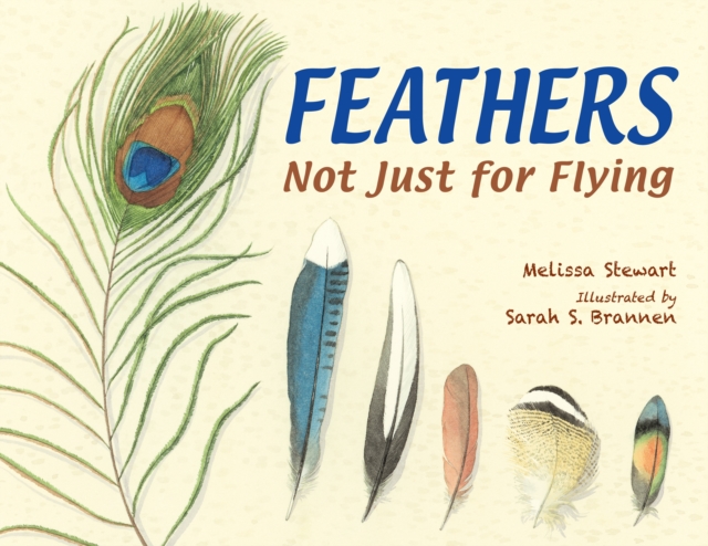 Feathers : Not Just for Flying, Paperback / softback Book