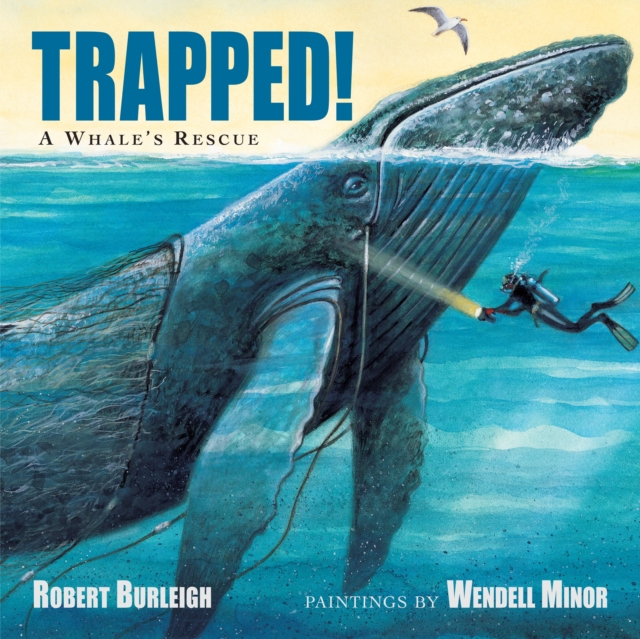 Trapped! A Whale's Rescue, Hardback Book