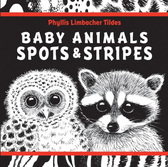 Baby Animals Spots & Stripes, Board book Book
