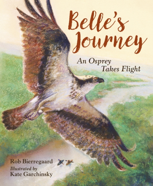 Belle's Journey, Hardback Book