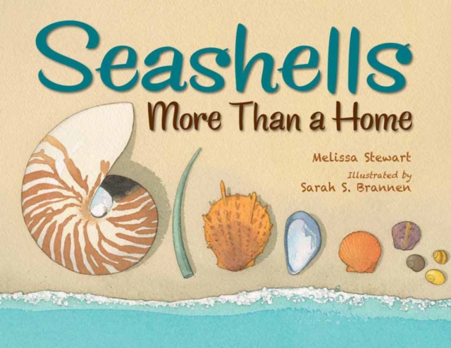 Seashells : More Than a Home, Hardback Book