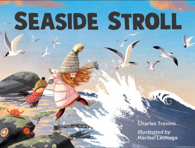 Seaside Stroll, Hardback Book
