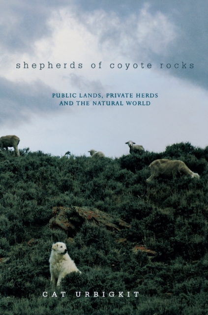 Shepherds of Coyote Rocks : Public Lands, Private Herds and the Natural World, Hardback Book