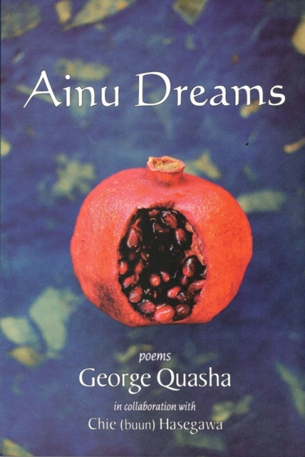 AINU DREAMS, Paperback / softback Book