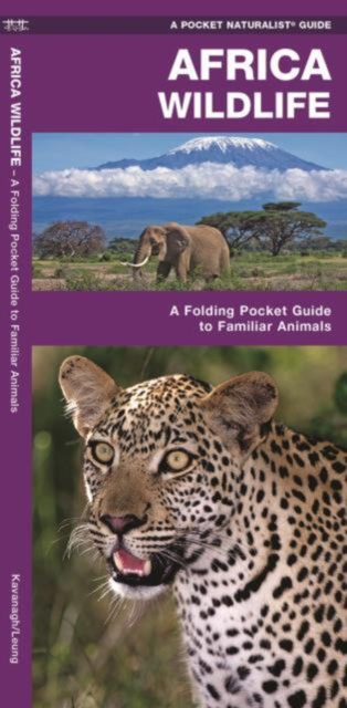 African Wildlife : A Folding Pocket Guide to Familiar Species, Pamphlet Book